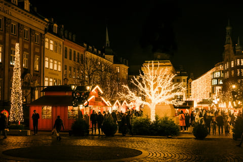 colin-meg-nGEvH71owQ0-unsplash